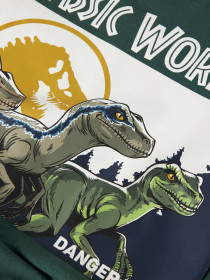 NAME IT Jurassic World Sweatshirt Oswald Bistro Green